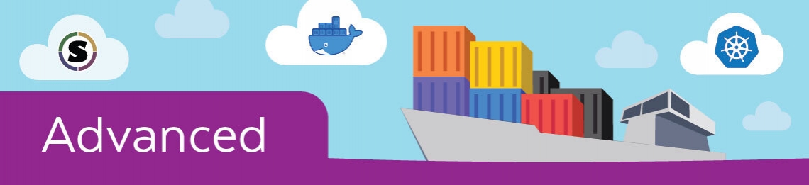 A graphic showing a container ship with the text "Advanced" and institutional logos.